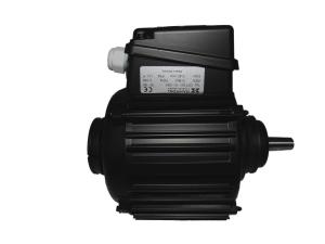Motor GST 50-12 mit Passfeder