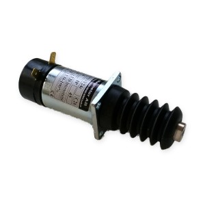 Zugmagnet (C36001V24C)